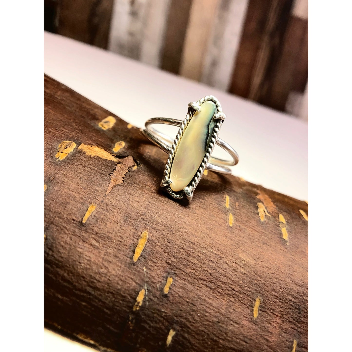 Long oval abalone with simple band