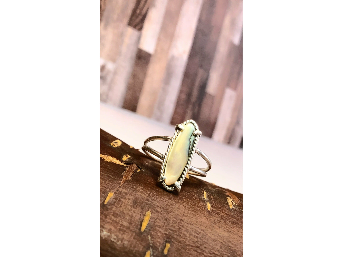 Long oval abalone with simple band