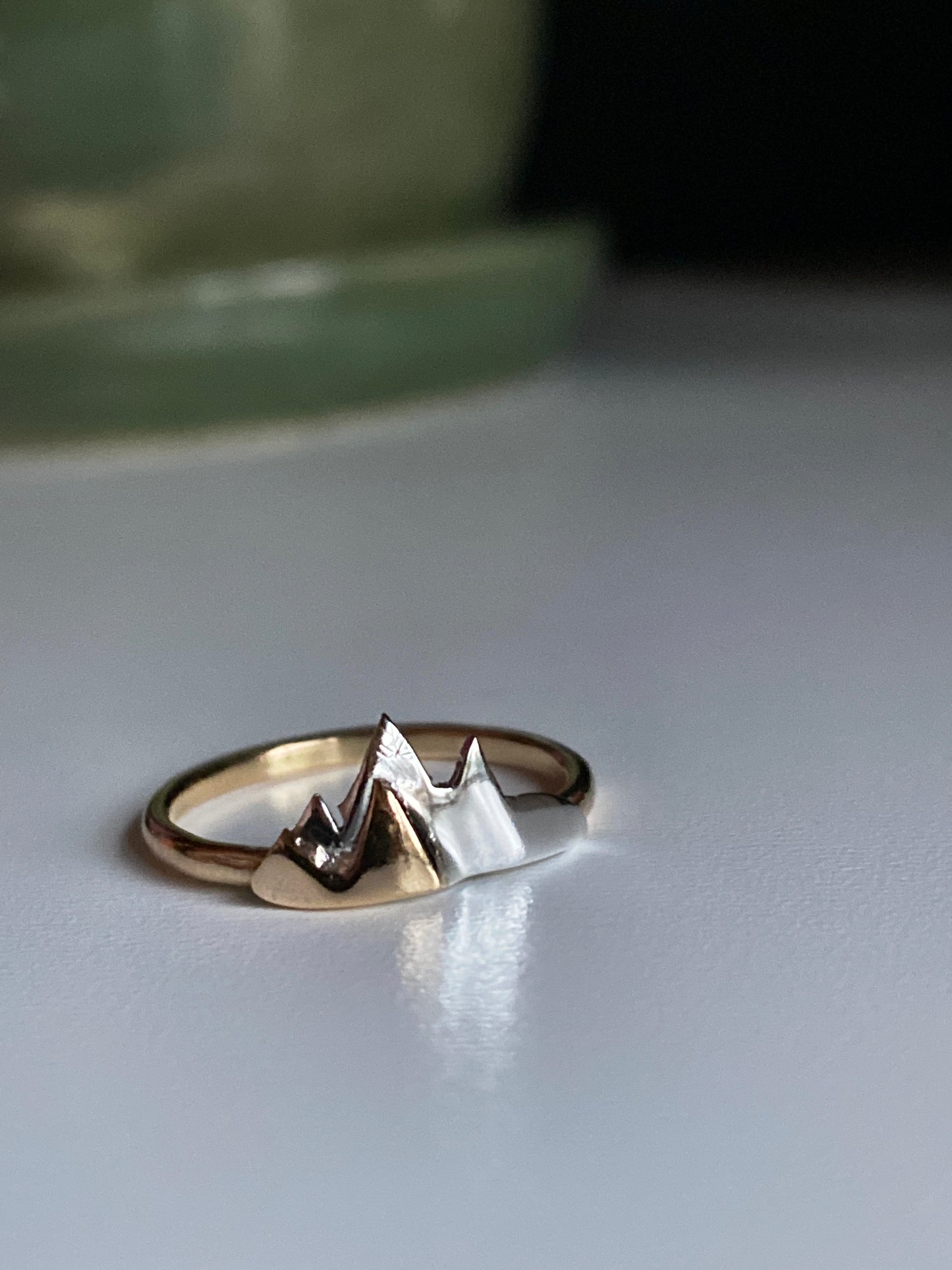 Custom listing for Robin C.