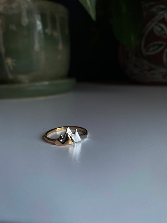 Custom listing for Robin C.